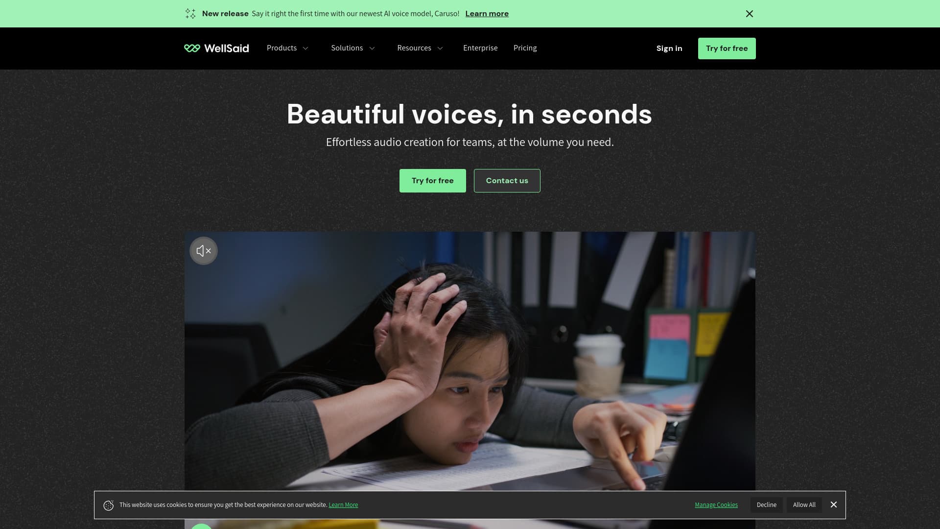 WellSaid Interface